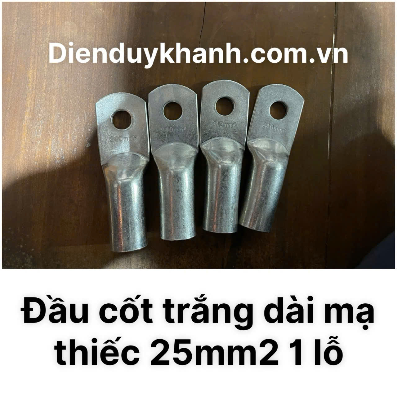 Đầu Cốt Đồng Mạ Thiếc 25mm2 1 Lỗ